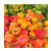 PEPPERS